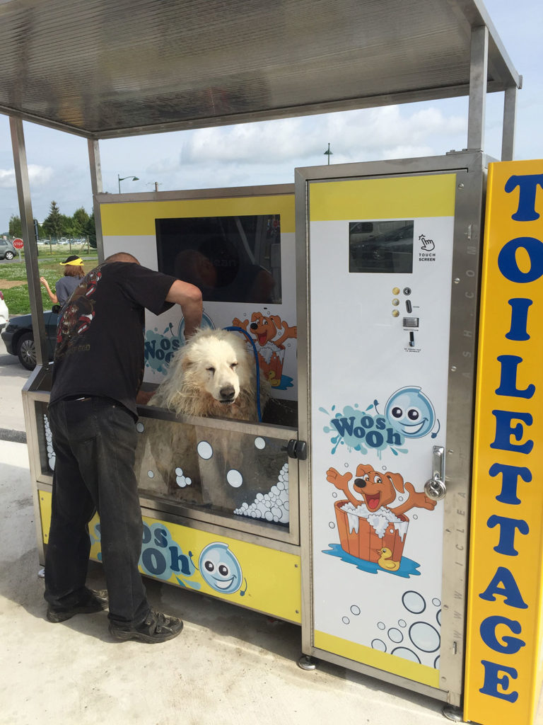 Lavage canin libre service Reims