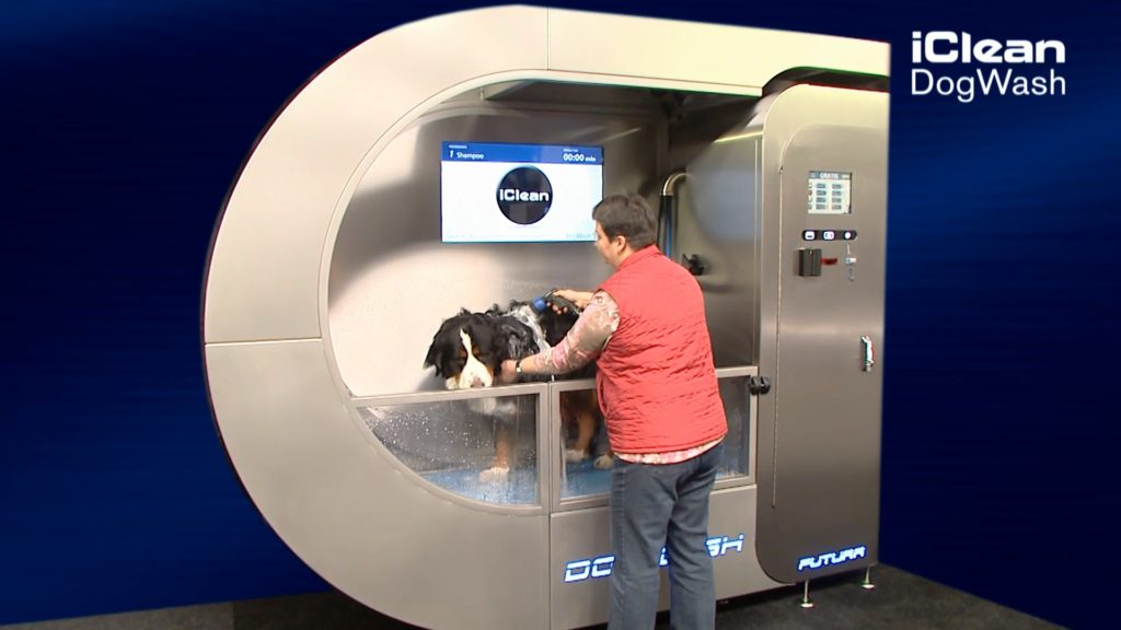 Chien dans un dogwash Futura