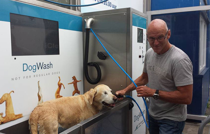 Chien et son maitre dans une station de lavage canin