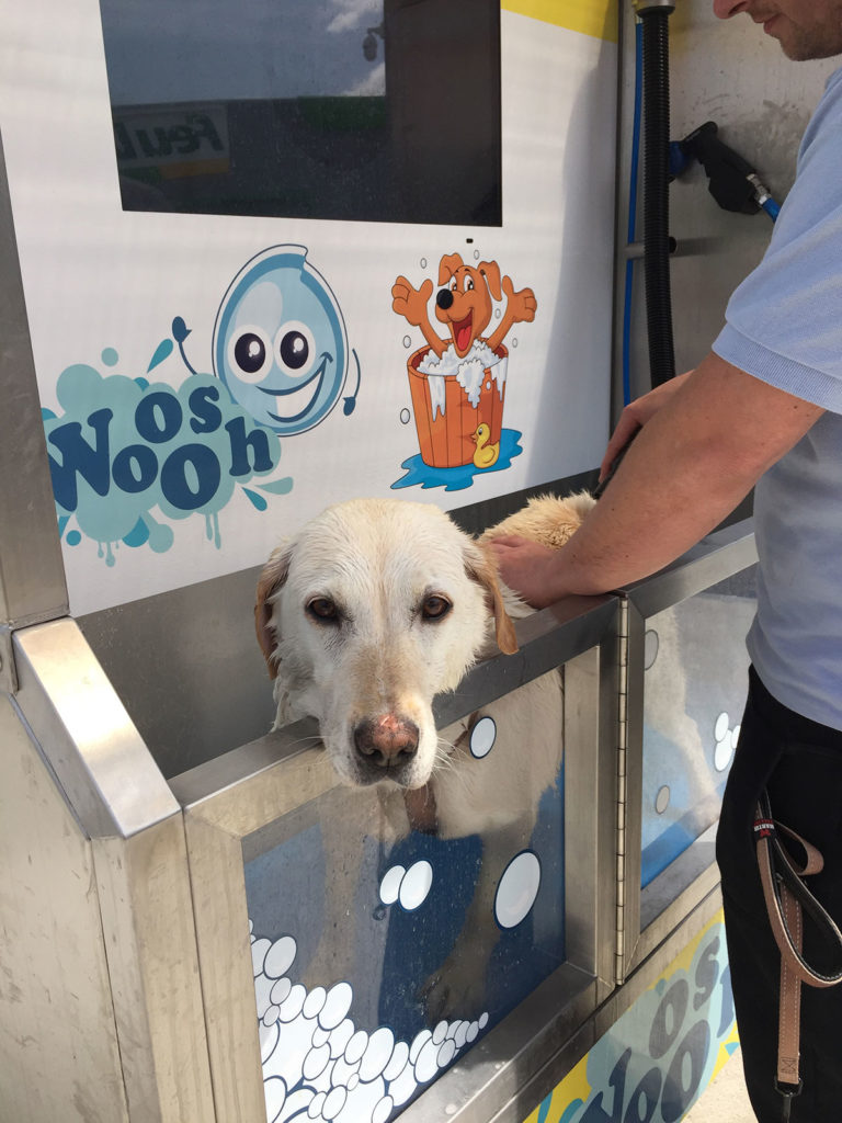 Chien dans un Dogwash à Reims