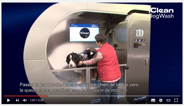 Vidéo de démonstration Dogwash