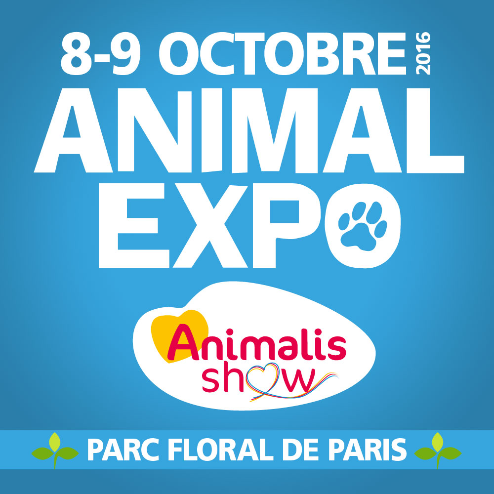 Affiche animal expo Dogwash.fr