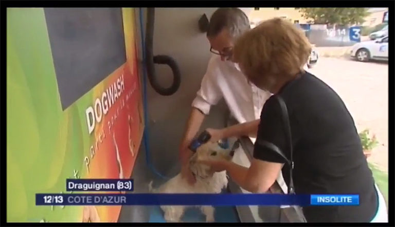 Le concept de dogwash présenté sur France 3