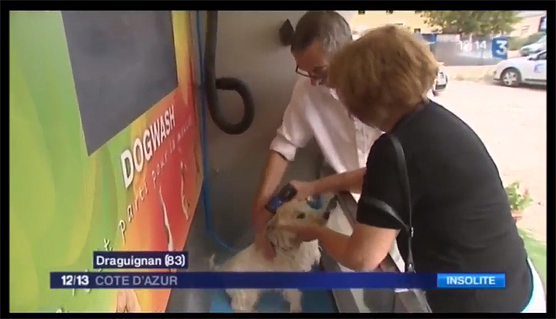 Dogwash au journal de France 3