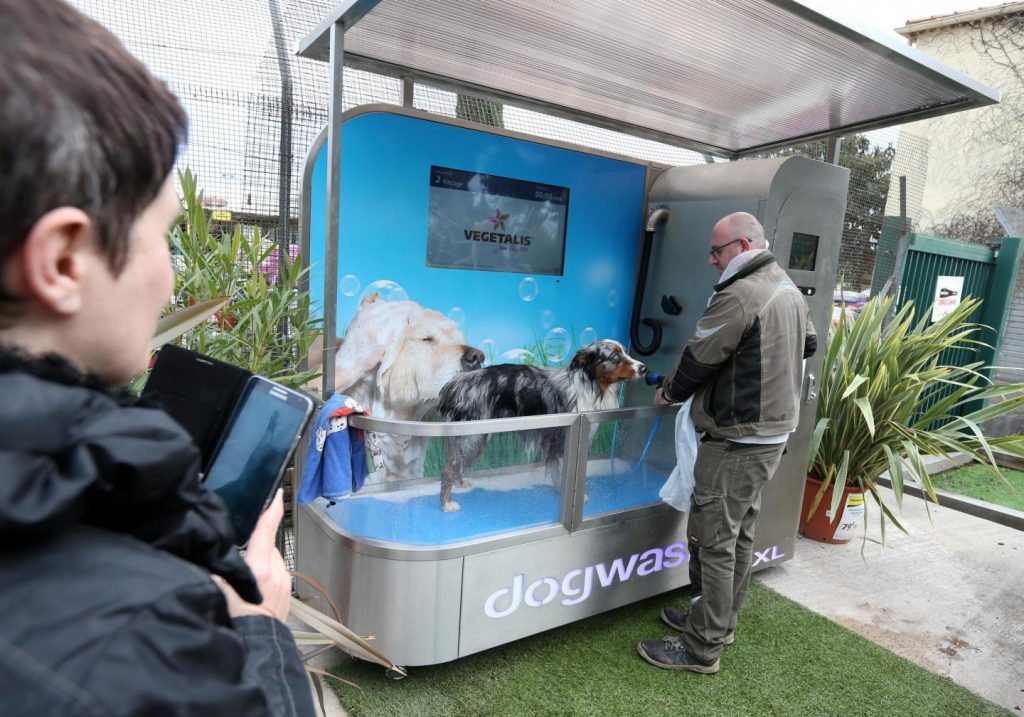 dogwash-varmatin-fevrier-2017