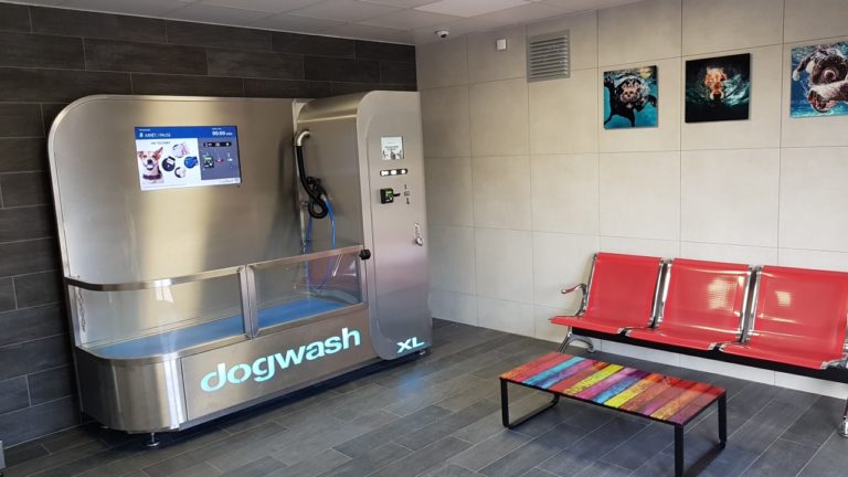 Un dogwash s’installe dans les Cévennes !