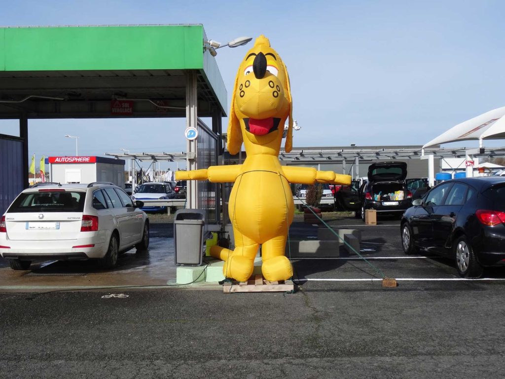 mascotte-dogwash-tours