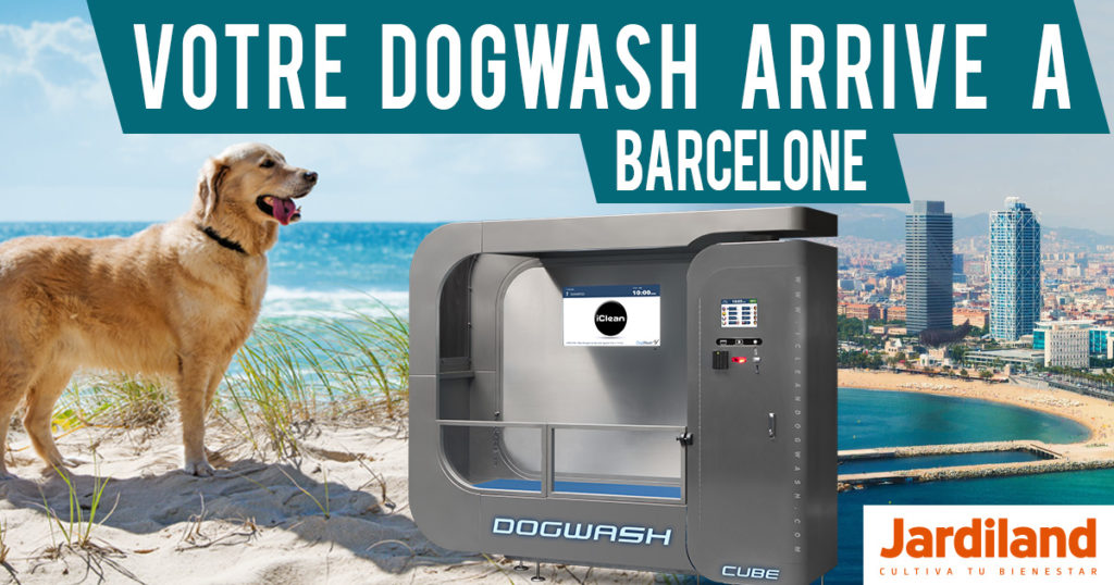 Dogwash à Barcelone