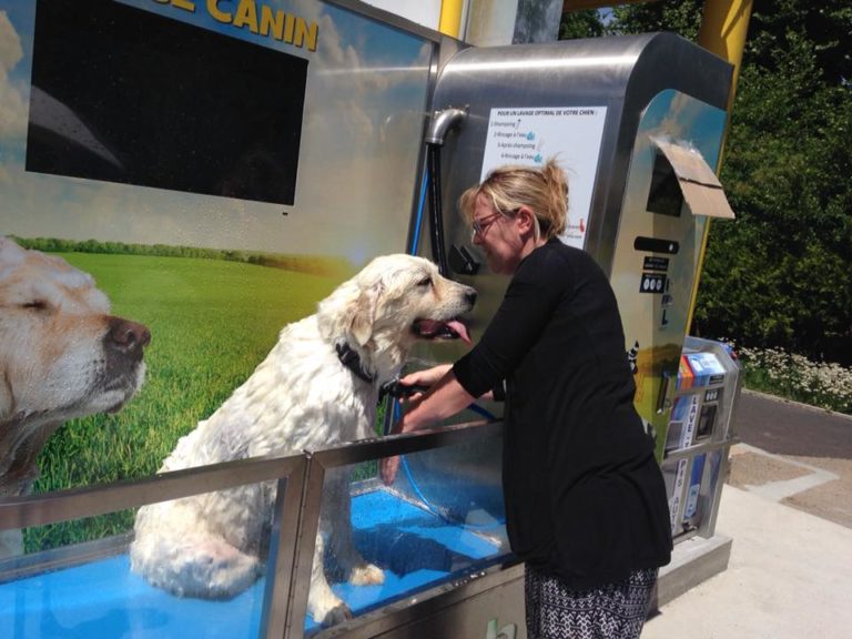 Toilettage pour chien en libre-service : un nouveau concept avec Dogwash