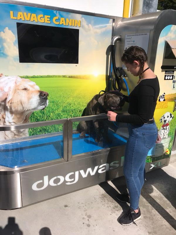 Une station de lavage canin en libre service à Sens (89)