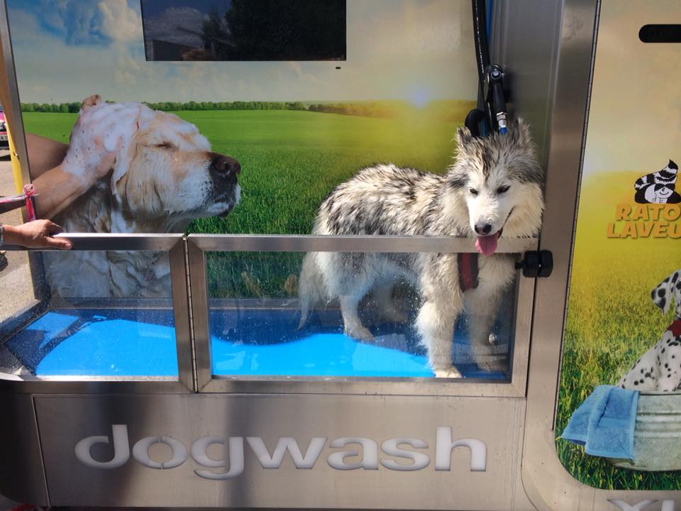 Une station de lavage canin en libre service dans l'Yonne