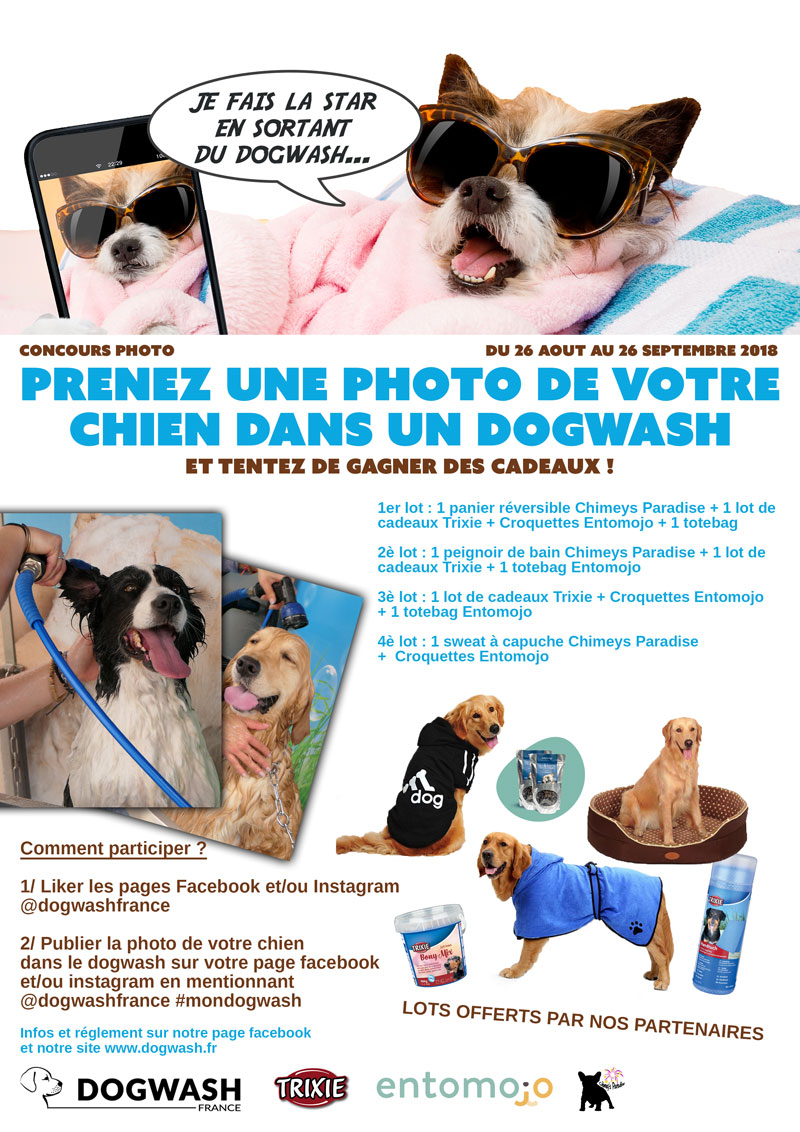 image-article-blog-jeu-concours-photo