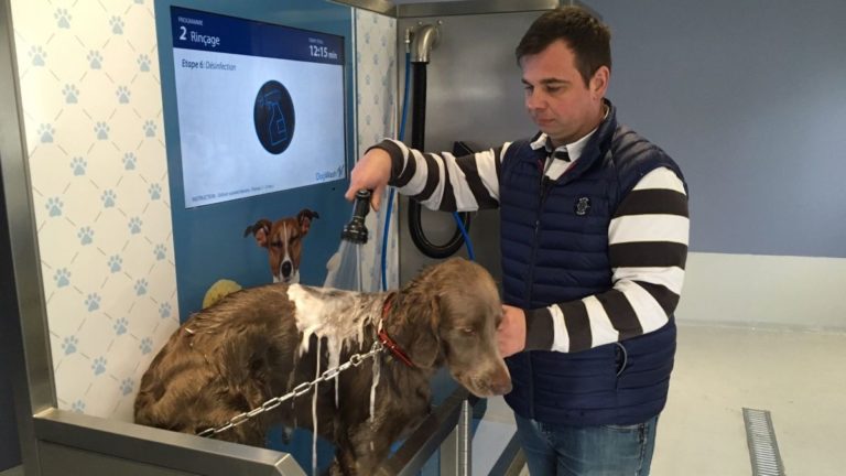 Un dogwash à Boulay en Moselle