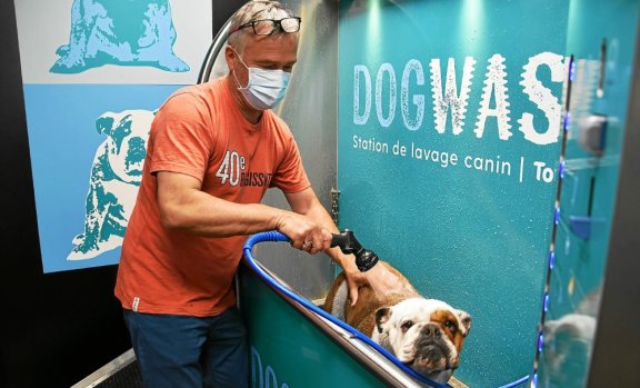 Dogwash dans le Télégramme