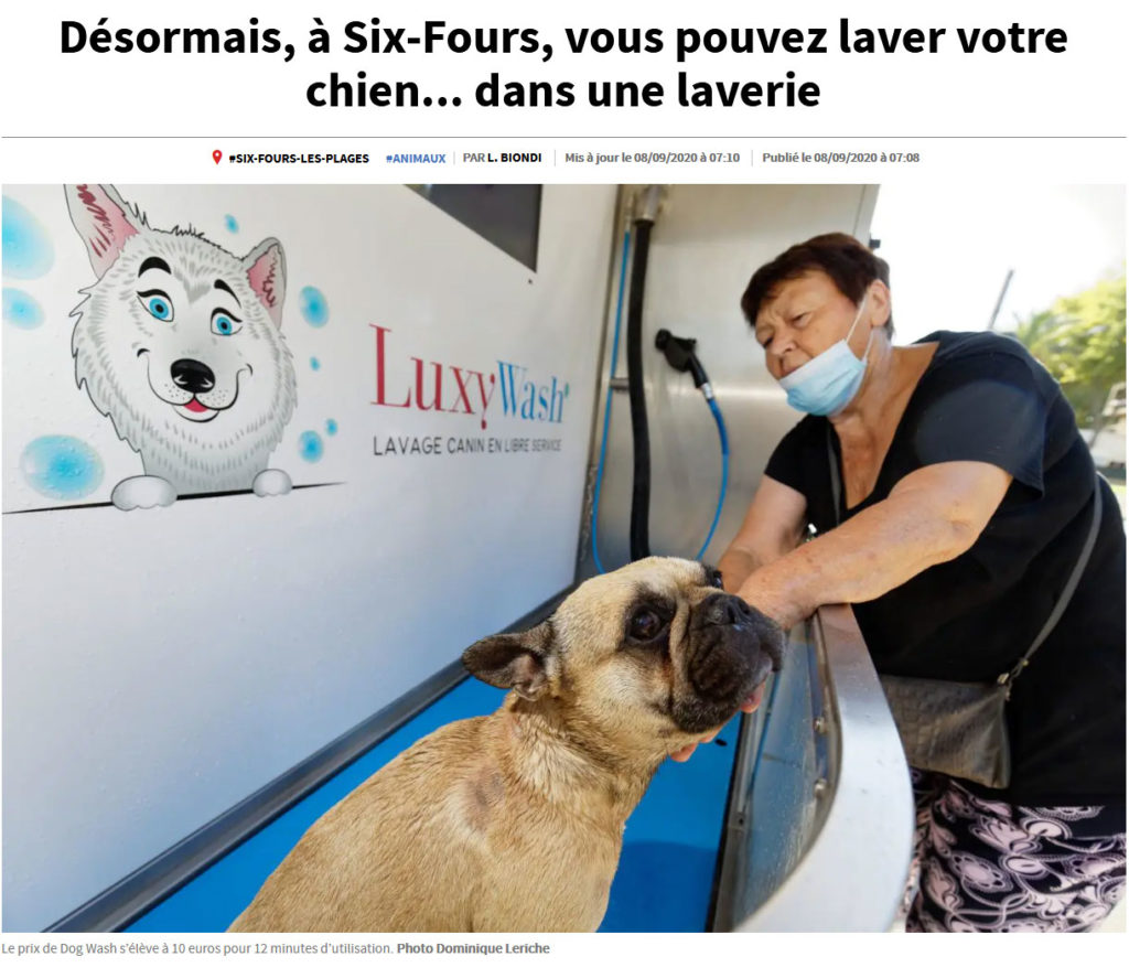 Dogwash SixFours