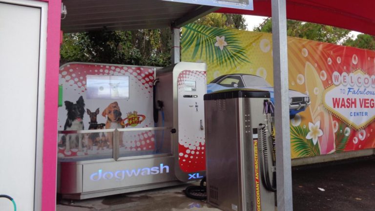 Un Dogwash à Chalons